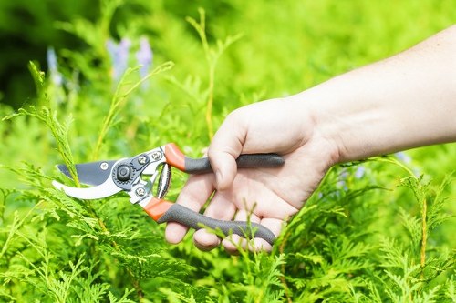 A close-up view of a gardener's hand holding a pair of ergonomic garden pruning shears with black and orange handles, actively trimming a dense, green hedge in a well-maintained backyard. The hedge is composed of vibrant, leafy foliage forming a neat boundary along a paved area with visible soil and natural ground cover. In the background, there is a lush lawn of healthy grass, contrasting with the darker foliage of the hedge, and some blurred plants indicating a flourishing outdoor space. The scene is well-lit with natural daylight, suggesting a clear weather day, and this outdoor setting is part of a landscaped garden typical of properties in Sudbury, emphasizing professional garden maintenance services by Hedge Trimming Sudbury. The attention to detail in hedge trimming contributes to tidy garden borders and overall curb appeal, reflecting professional gardening and landscaping expertise.