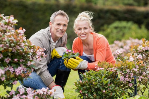 Requesting a quotation for hedge trimming in Sudbury